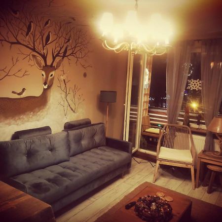 Exquisite 3 Room Apartment In The Heart Of Thetown Campulung Moldovenesc Luaran gambar